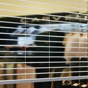 CỬA CUỐN TRONG SUỐT VS 1